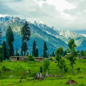 03 Day Guided Neelum Valley, Arang Kel Trekking, and Dolly River Crossing Expedition - Step Travel and Tours