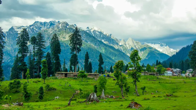 03 Day Guided Neelum Valley, Arang Kel Trekking, and Dolly River Crossing Expedition - Step Travel and Tours