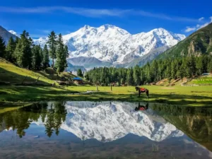 05 Day Fairy Meadows and Nanga Parbat Base Camp Trekking Expedition - Step Travel and Tours