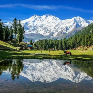 05 Day Fairy Meadows and Nanga Parbat Base Camp Trekking Expedition - Step Travel and Tours