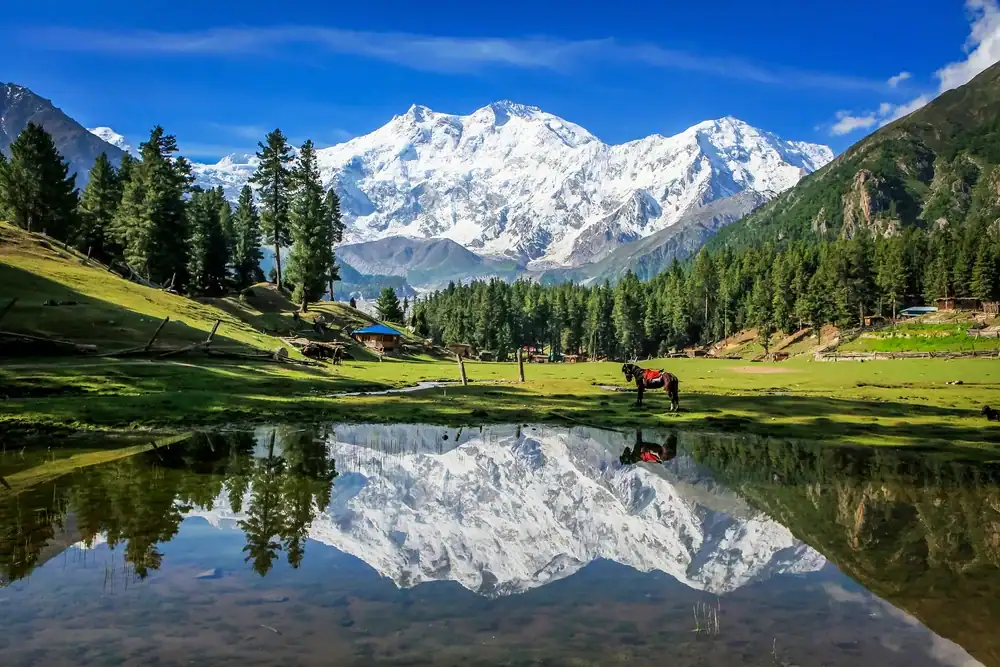 05 Day Fairy Meadows and Nanga Parbat Base Camp Trekking Expedition - Step Travel and Tours