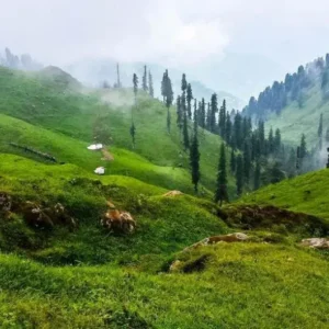 Guided 01 Day Ganga Choti High-Altitude Trekking and Sudhan Gali Day Trip from Islamabad - Step Travel and Tours