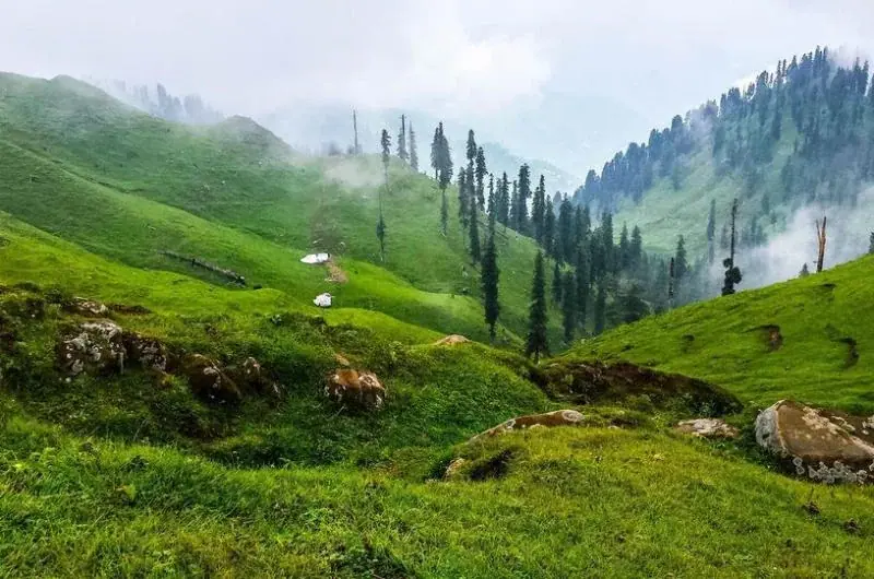 Guided 01 Day Ganga Choti High-Altitude Trekking and Sudhan Gali Day Trip from Islamabad - Step Travel and Tours