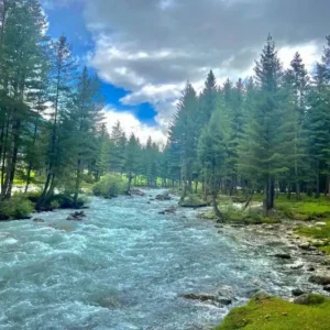 03 Day Guided Kumrat Valley, Pine Forests, and Kala Chashma Waterfall Expedition - Step Travel and Tours
