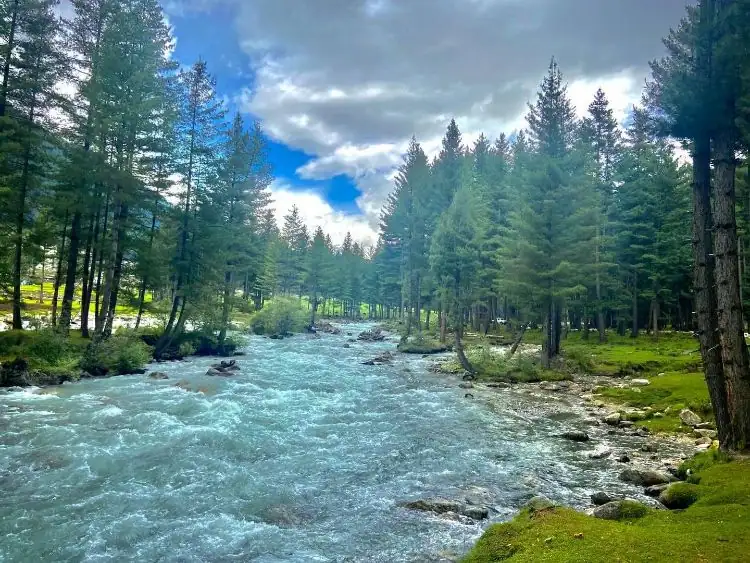 03 Day Guided Kumrat Valley, Pine Forests, and Kala Chashma Waterfall Expedition - Step Travel and Tours