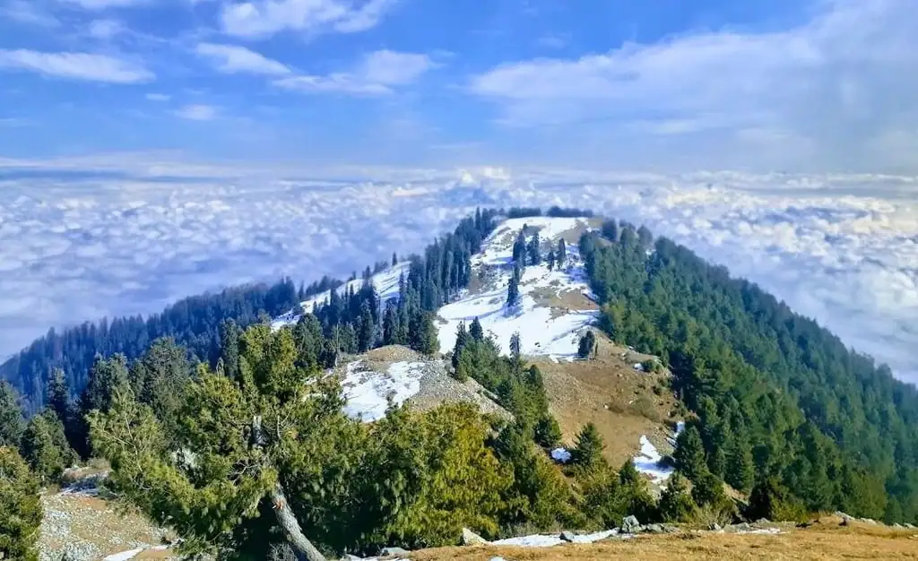 Guided 01 Day Mushkpuri Top Trekking or Ayubia Pipeline Track Walking Expedition from Islamabad - Step Travel and Tours
