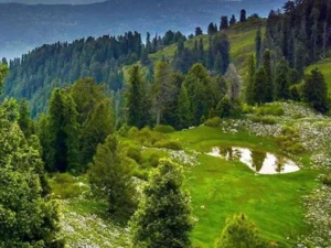 Mushkpuri Top tour from Lahore in the Galiyat mountains