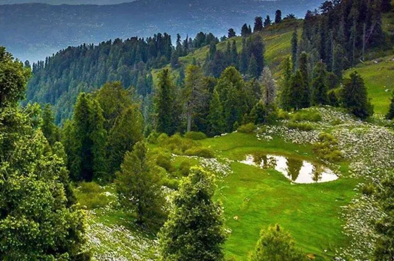 Guided 01 Day Mushkpuri Top Trekking and Nathia Gali Tour Expedition from Lahore and Islamabad - Step Travel and Tours
