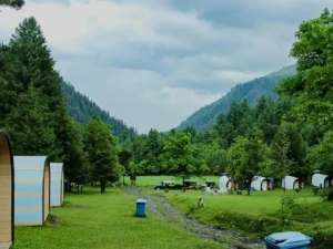 Sharan Forest tour package in Kaghan Valley