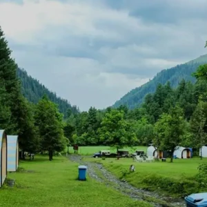 Guided 02 Day Sharan Forest, Manshi Top Hiking, and Jeep Safari Expedition - Step Travel and Tours