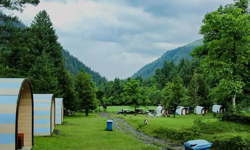 Guided 02 Day Sharan Forest, Manshi Top Hiking, and Jeep Safari Expedition - Step Travel and Tours