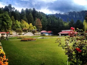 Shogran Siri Paye tour package in Kaghan Valley