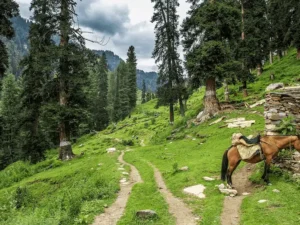 Siran Valley tour from Islamabad with mountain scenery