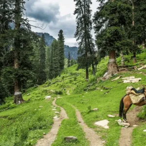 Guided 01 Day Siran Valley, Sachan Meadows, and Ghazi Baba ki Ziyarat Expedition from Islamabad - Step Travel and Tours