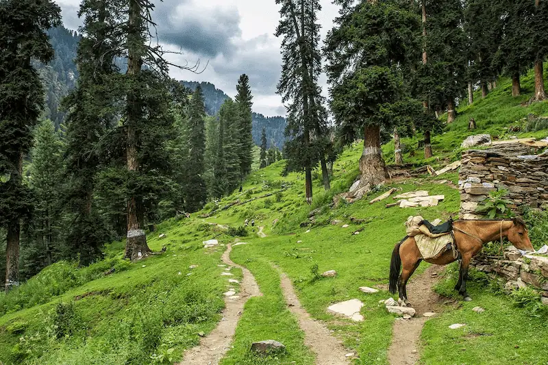 Guided 01 Day Siran Valley, Sachan Meadows, and Ghazi Baba ki Ziyarat Expedition from Islamabad - Step Travel and Tours