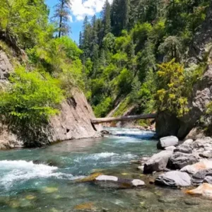 Guided 01 Day Sharan Forest, Kaghan Valley, and 4x4 Jeep Safari Expedition from Islamabad - Step Travel and Tours