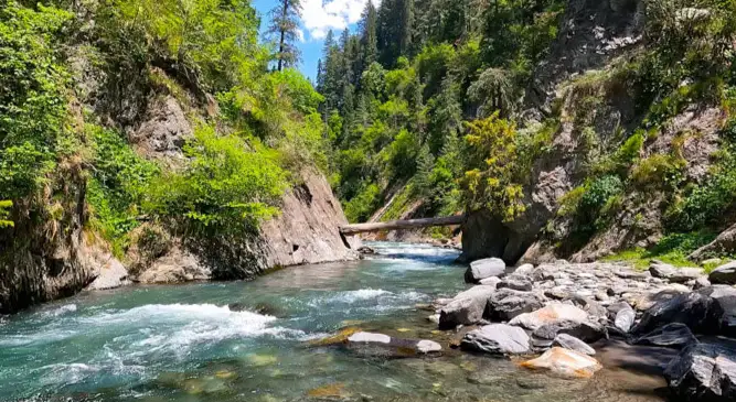 Guided 01 Day Sharan Forest, Kaghan Valley, and 4x4 Jeep Safari Expedition from Islamabad - Step Travel and Tours