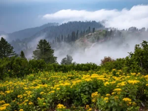 Shogran Siri Paye tour from Islamabad with mountain meadow scenery
