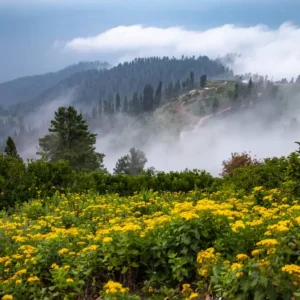 Guided 01 Day Shogran Valley, Kiwai Waterfall, and Siri Paye Meadows Day Trip from Islamabad - Step Travel and Tours