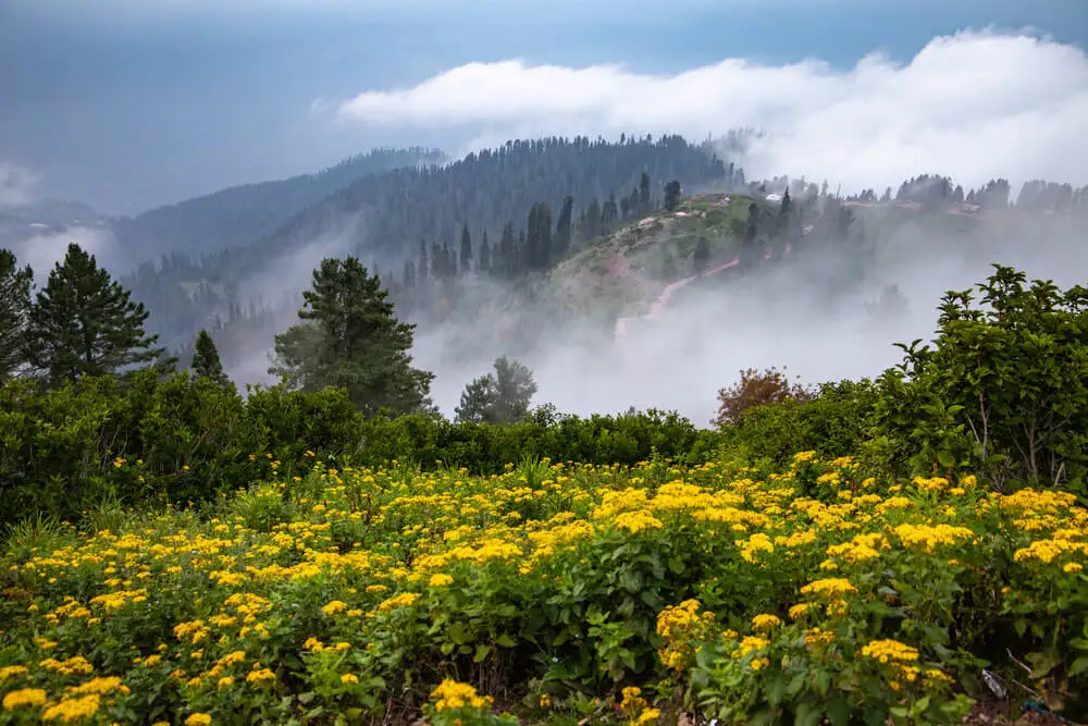 Guided 01 Day Shogran Valley, Kiwai Waterfall, and Siri Paye Meadows Day Trip from Islamabad - Step Travel and Tours