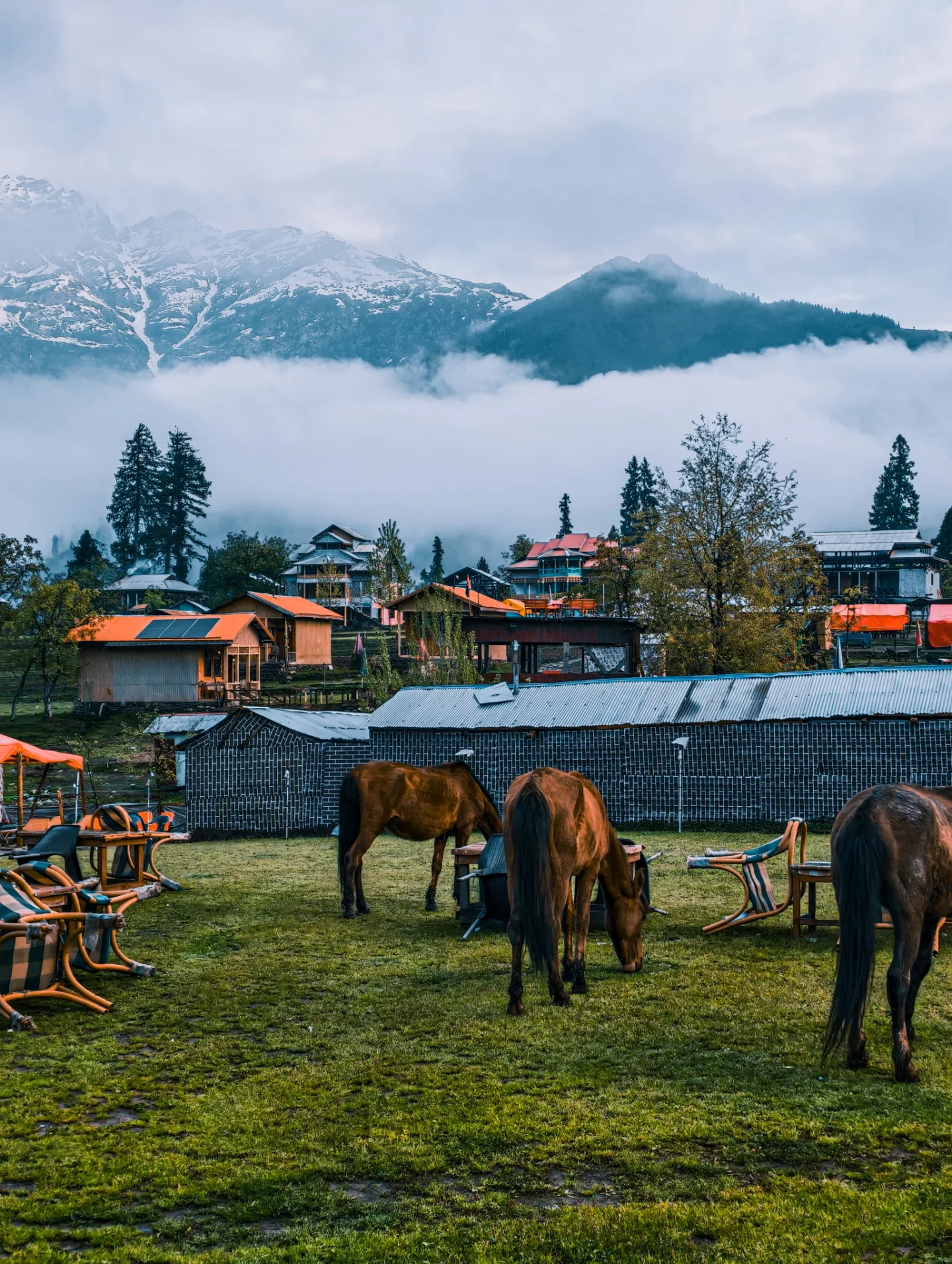 Green valley and scenic landscape in Kashmir