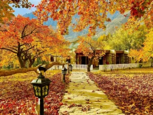 Autumn Tours